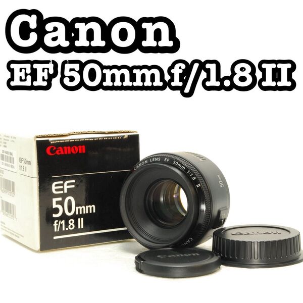 Canon EF 50mm F1.8 Ⅱ 絶妙なボケ感 キヤノン 単焦点レンズ デジタル一眼レフカメラ デジタルカメラ デジカメ