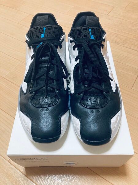 NIKE AIR JORDAN 39 croix 28cm ナイキ NIKE