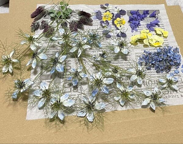 ドライフラワー ニゲラ ワスレナグサ ビオラ ベルフラワー ストロベリーキャンドル ハンドメイド レジン 花材