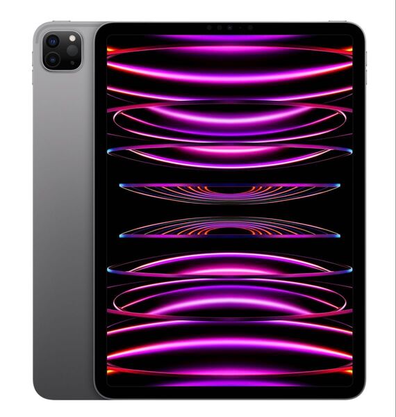 おすすめ iPad Pro 第4世代 M2チップ 11インチ 128Gb Wi-Fi版 スペースグレー
