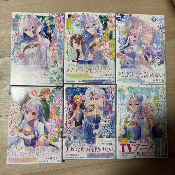 完璧すぎて可愛げがないと婚約破棄された聖女は隣国に売られる コミカライズ全巻セット