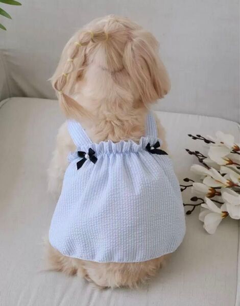 【24h以内発送】美品 ペット服 ワンピース リボン ストライプ 犬 Mサイズ