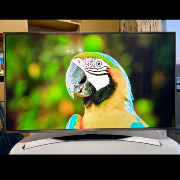 値下げ交渉歓迎【4Kパネル,動画アプリ】49インチ液晶テレビ LG 49UJ6500
