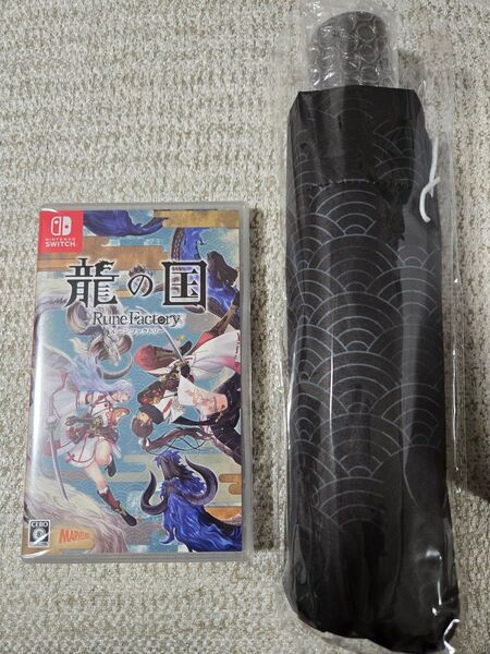 龍の国 ルーンファクトリー Switch 特典付き