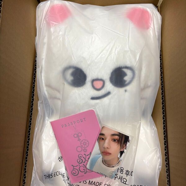 【新品】straykids skzoo ジニレット テディベア トレカ ヒョンジン スキズ jiniret hyunjin