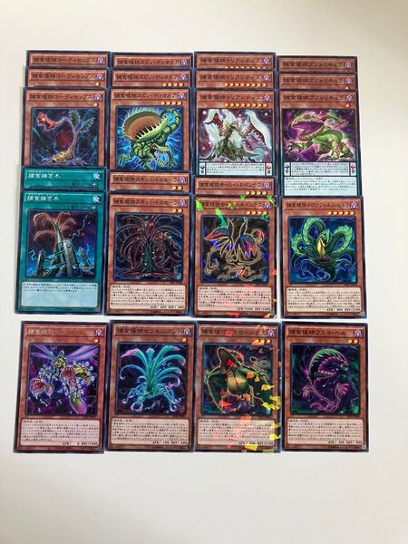 遊戯王 捕食植物デッキパーツ