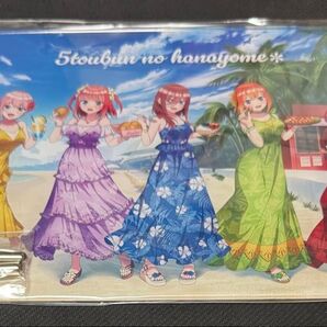 五等分の花嫁*ハワイ旅行くじB賞アクリルパネル