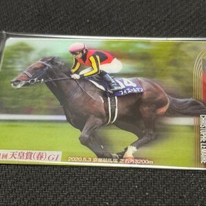 サラブレッドホースコレクション フィエールマン