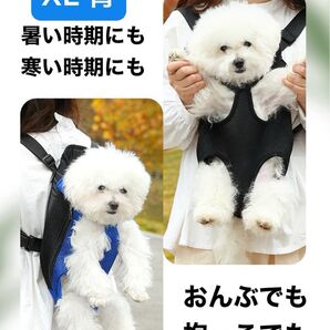 ペットキャリーバッグ XL 小型 猫 犬 お散歩 お出かけ ホルダースリング 青