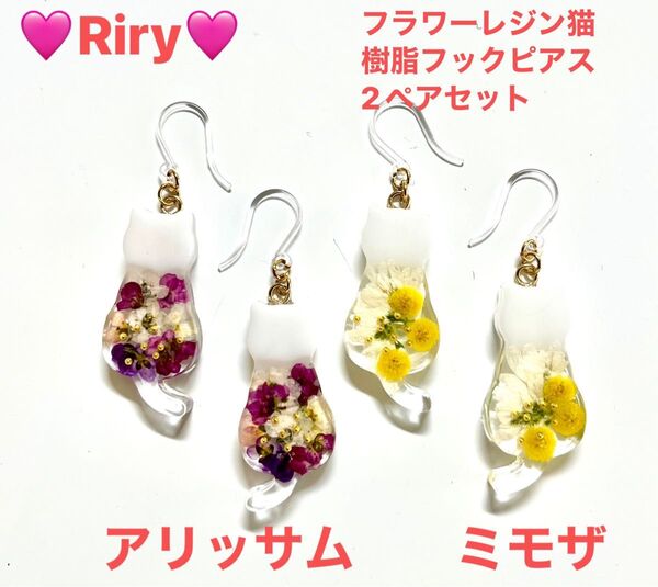 フラワーレジン猫 樹脂フックピアス2ペアセット アリッサムレジン ミモザ 猫