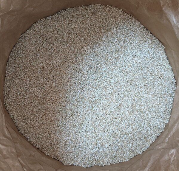 令和5年産 コシヒカリ 20kg 玄米