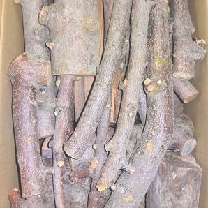リンゴの薪 16kg以上 1年乾燥済み りんご アウトドア キャンプ 焚き火 薪ストーブ