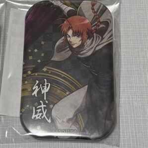 銀魂 ナンジャタウン 影うつし 神威 缶バッジ