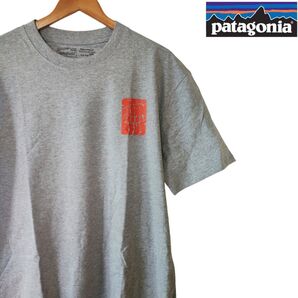 patagonia パタゴニア same dream for all of us Tシャツ グレー 2XL