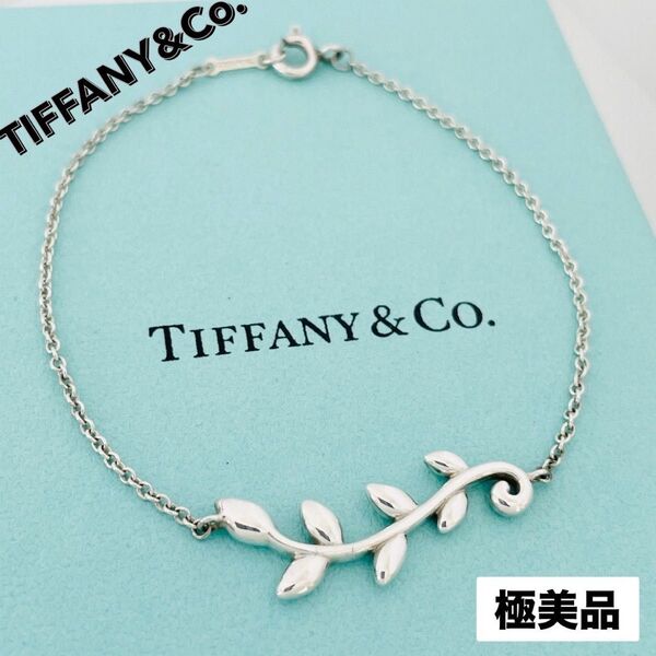 極美品★TIFFANY&CO. ティファニー チェーン ブレスレット パロマピカソ オリーブ リーフ ヴァイン シルバー バングル