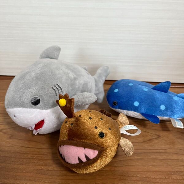 ふとっちょサメ ジンベエザメ チョウチンアンコウ 海の生き物 ぬいぐるみ まとめ マリンパーク