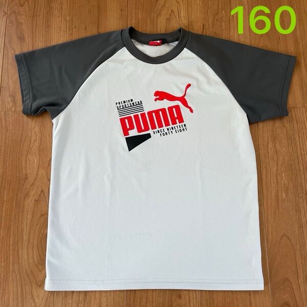 Tシャツ プーマ 160 PUMA 男の子 グレー