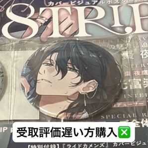 B's-LOG ビーズログ ビズログ 18TRIP エイトリ 夜鷹 缶バッジ