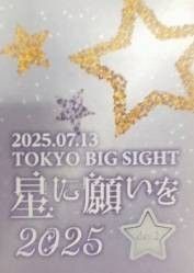 【ネコポス匿名配送】7/13 ★ 星に願いを 2025 -day2- ★ 星願2025 サークルチケット サーチケ サクチケ