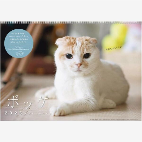 【ブログで人気】「ポッケ」のカレンダー2025年 ポッケ カレンダー 猫カレンダー