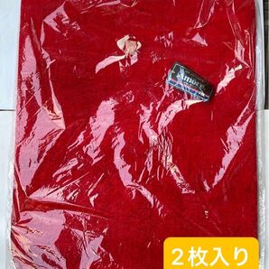 カーマット フロアマット フロントマット 2枚入 赤
