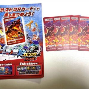 バンダイナムコ TSURISUPI-NET パスポートカード 5枚セット