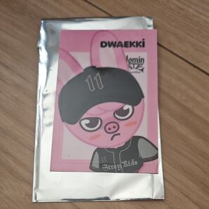 StrayKids domin ATE シャトルバス特典ICカードステッカー トゥエッキ