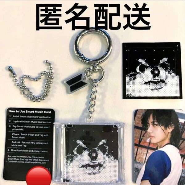BTS テテ LAYOVER FESTA 2025 Capsule