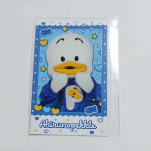 あひるのペックル キャラポトレ カード サンリオ Sanrio ペックル