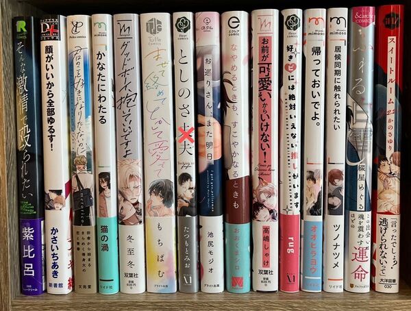 バラ売り可 1冊480円〜 新品購入一読済み BLコミック