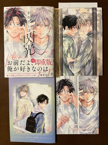 まなざしは閃光 篠芽ゆひ アニメイト特典リーフレット ペーパー コミコミスタジオ有償特典小冊子 リーフレット
