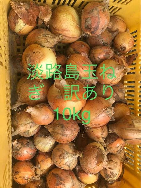 淡路島玉ねぎ 訳あり品 10kg ネオアース