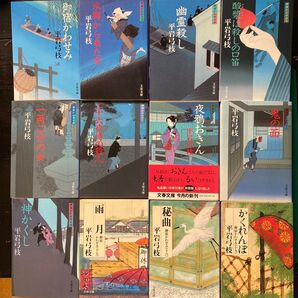平岩弓枝 御宿かわせみ 一、三、五、七、九、十一〜十四、十七〜十九巻 合計十二冊
