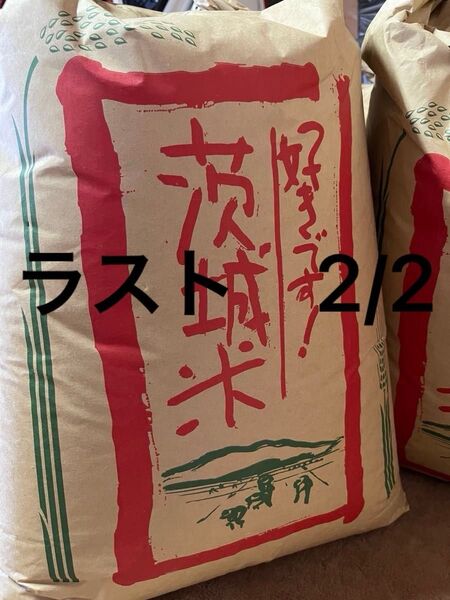 令和6年 玄米10㎏ コシヒカリ 茨城県産 コシヒカリ 玄米