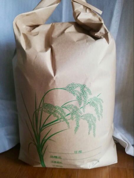 令和6年 玄米10㎏ コシヒカリ 茨城県産