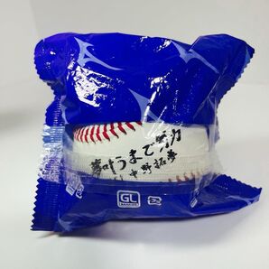 中野拓夢 甲子園球場100周年記念ボール