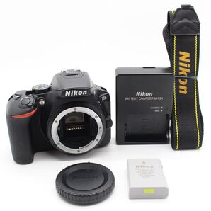 Nikon D5600 ボディ ショット数4286