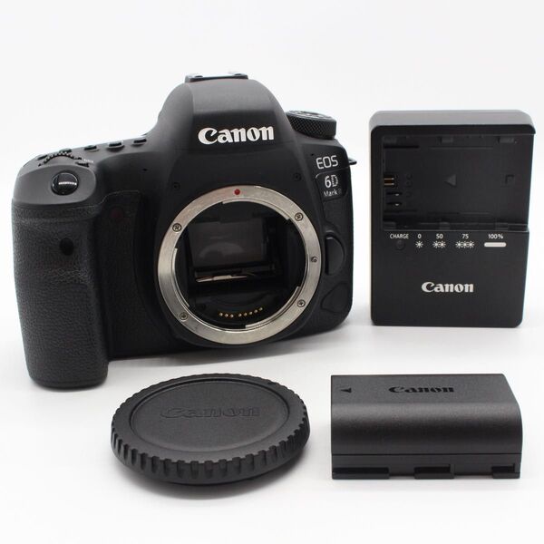 ★美品★Canon EOS 6D Mark II ボディ ショット数12364回