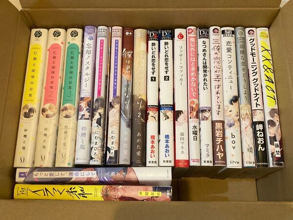 BLコミック20冊セット 砂糖と塩/にむまひろ/あがた愛/橋本あおい/暮田マキネ/水曜日/マミタ 他