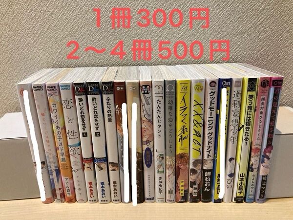 BLコミック 1冊300円 2〜4冊500円