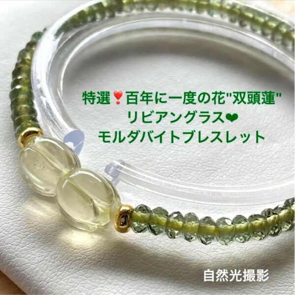 特選!百年に一度の花"双頭蓮"リビアングラス入り/モルダバイトブレスレット