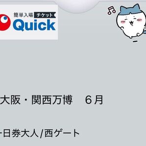 大阪 関西万博 EXPO2025 大人 ペアチケット 6/29 (日) 2枚