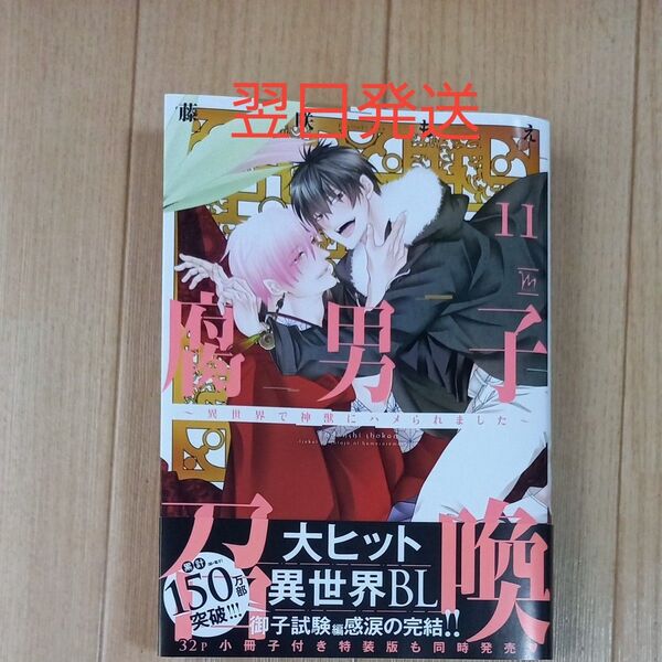 腐男子召喚 異世界で神獣にハメられました 11/藤咲もえ