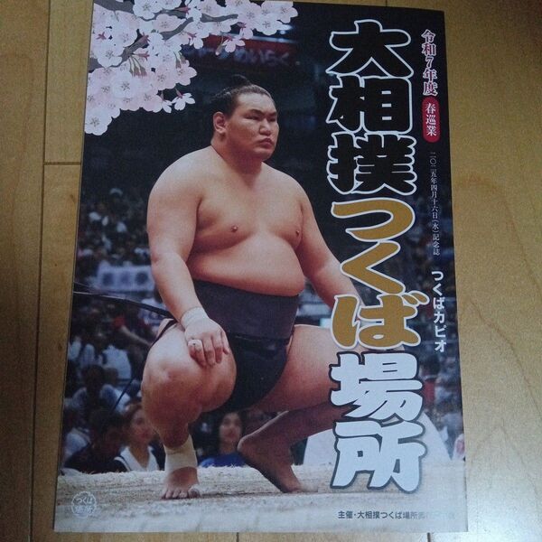 大相撲 つくば場所 令和7年度 パンフレット