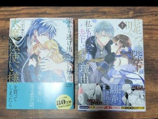 家から逃げ出したい私が、うっかり憧れの大魔法使い様を買ってしまったら 7 嘘つき陛下が私に執着する理由 2