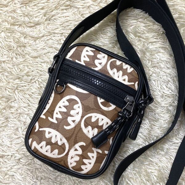 【極美品】コーチ COACH Guang Yu グアンユー ショルダーバッグ ボディバック レザー PVC ブラウン ブラック