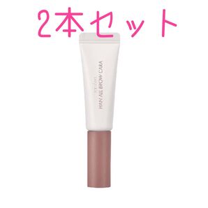 rom&nd ロムアンド ハン オール ブロウカラ 05 ダスキーローズ 2本