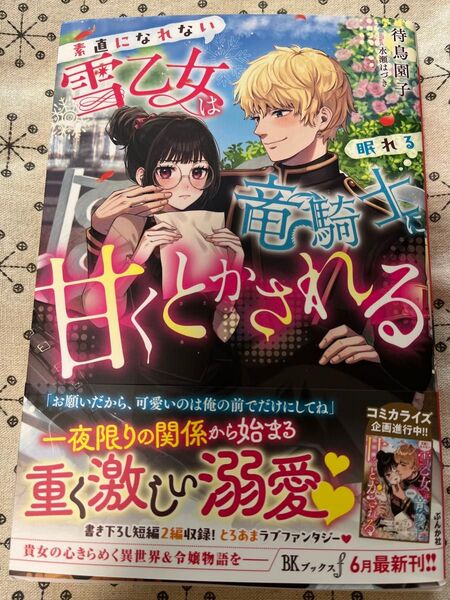 6/5発売★ 素直になれない雪乙女は眠れる竜騎士に甘くとかされる★