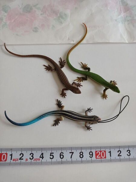 ネイチャーテクニカラーmono ニホントカゲ 幼体 カナヘビ フィギュア ストラップ ガチャポン いきもん