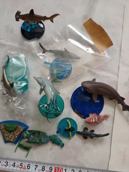 ネイチャーテクニカラー サメ 海洋堂 黒潮 タカラトミーアーツ 鮫 魚 メガマウスザメ フィギュア ガチャ イルカ